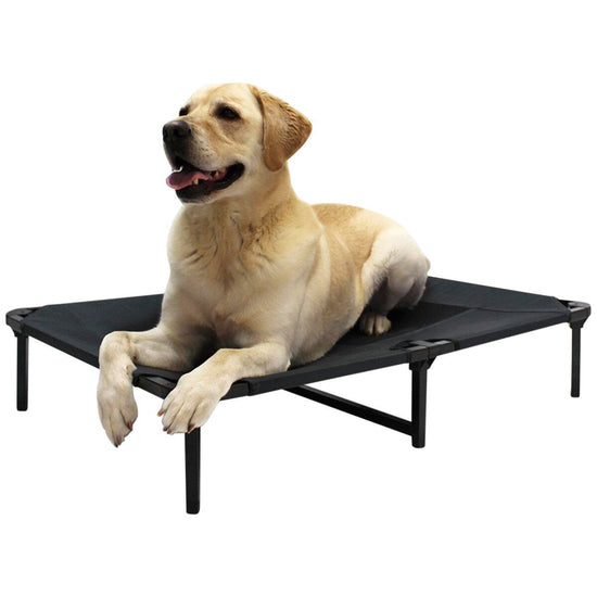 Lucky Dog Lounge Series Comfort Pet Cot 106cm 42" - Grey